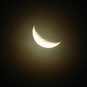 600677-crescent-moon-luna-creciente-0